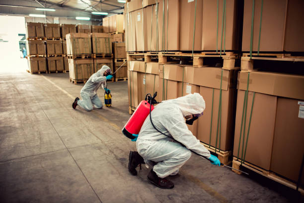 Best Pest Inspection Near Me  in Santa Ana, CA