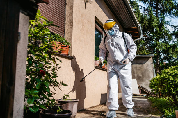 Best Residential Pest Control  in Santa Ana, CA