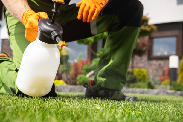 Best Best Pest Control Companies  in Santa Ana, CA
