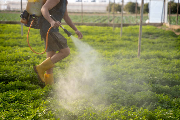 Best Wildlife Control Services  in Santa Ana, CA