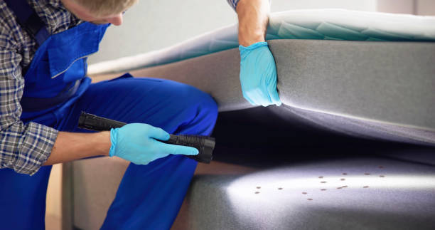 Best Best Pest Control Companies  in Santa Ana, CA