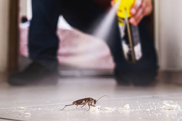 Best Rat Extermination Near Me  in Santa Ana, CA