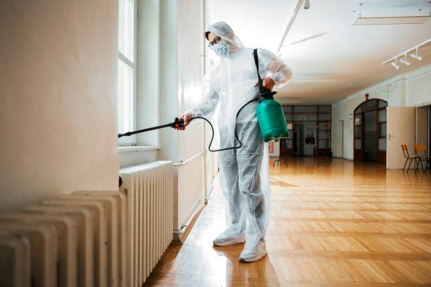 Best Bed Bug Extermination  in Santa Ana, CA