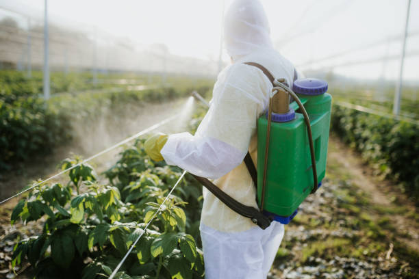 Best Best Pest Control Companies  in Santa Ana, CA